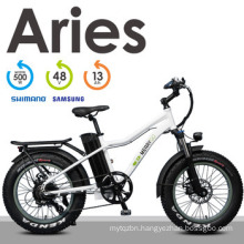 Aries White Color Rear Drive Motor Electric Mountain Bike
